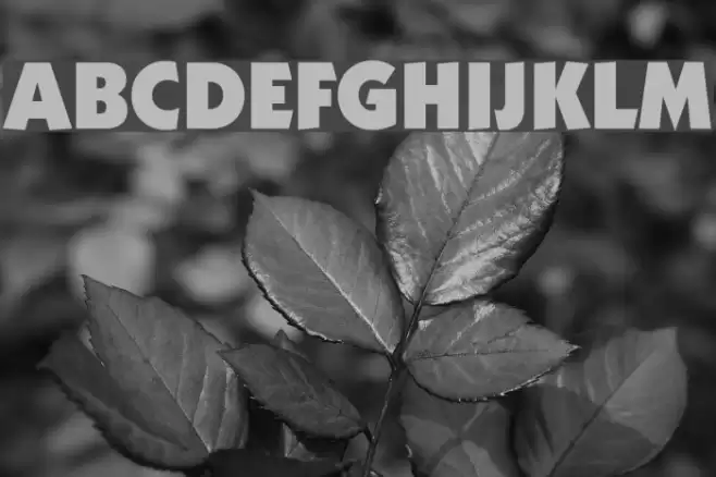 Strippenzieher Ultra Font examples