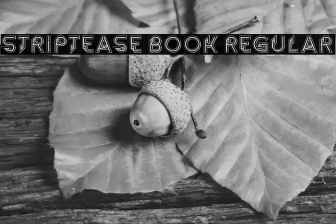 Striptease Book Regular Font examples