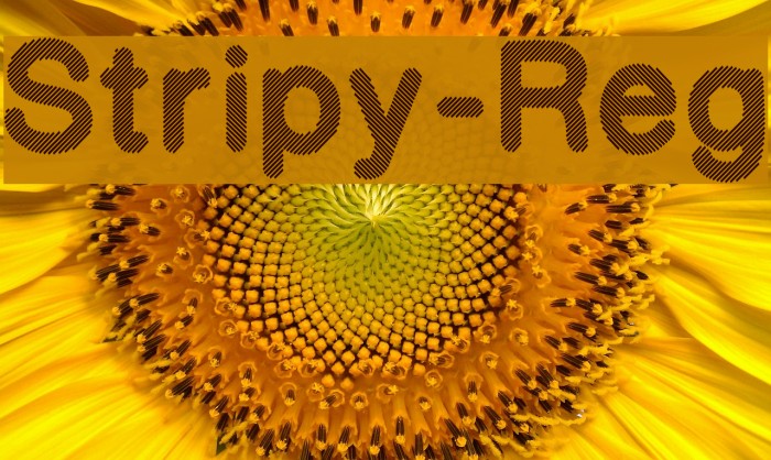 Stripy-Reg Font examples