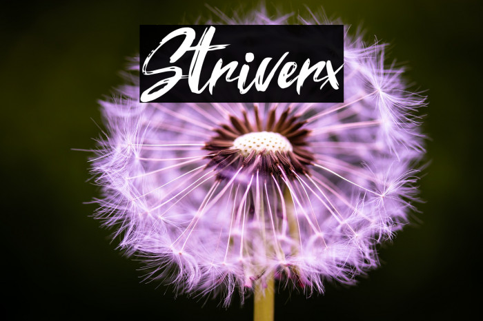Striverx Fuentes examples