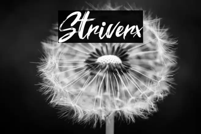 Striverx Font examples