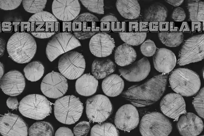 Strizhi Hollow Regular Font examples