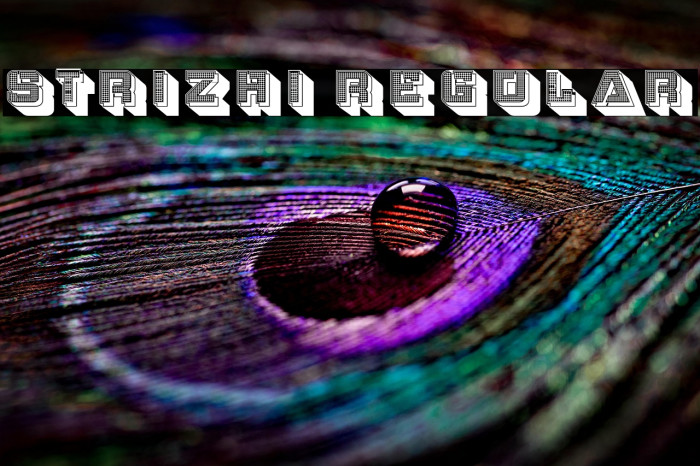 Strizhi Regular Example 3