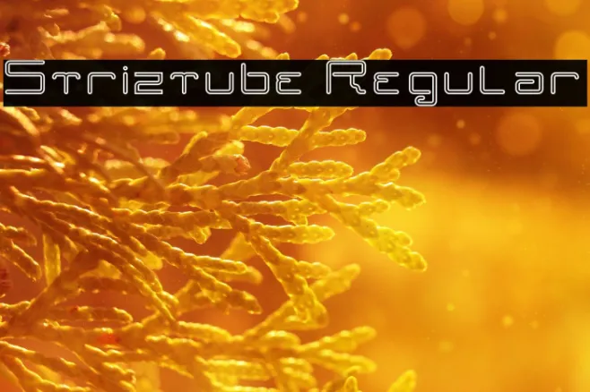 Striztube Regular Example 1