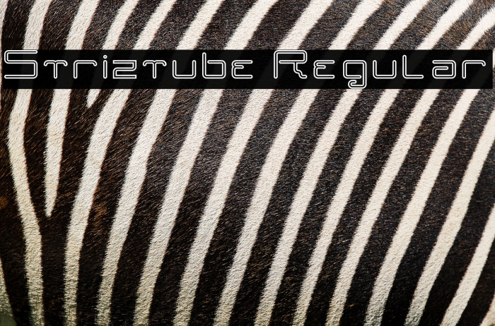 Striztube Regular Example 3