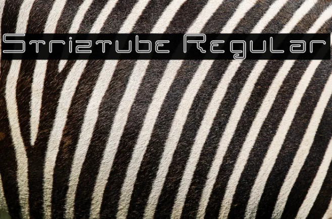 Striztube Regular Example 3