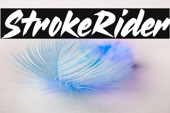Stroke Rider Example 1