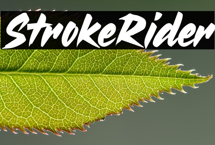 Stroke Rider Example 2