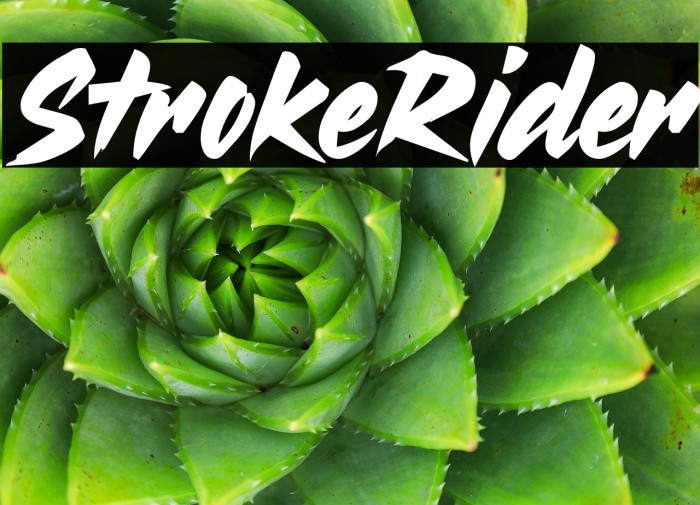 Stroke Rider Example 3
