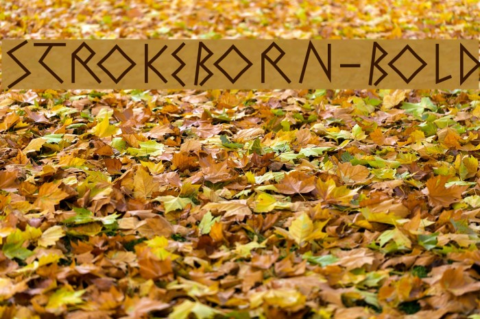 StrokeBorn-Bold Font examples