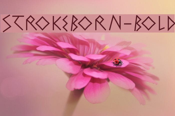 StrokeBorn-Bold Font examples