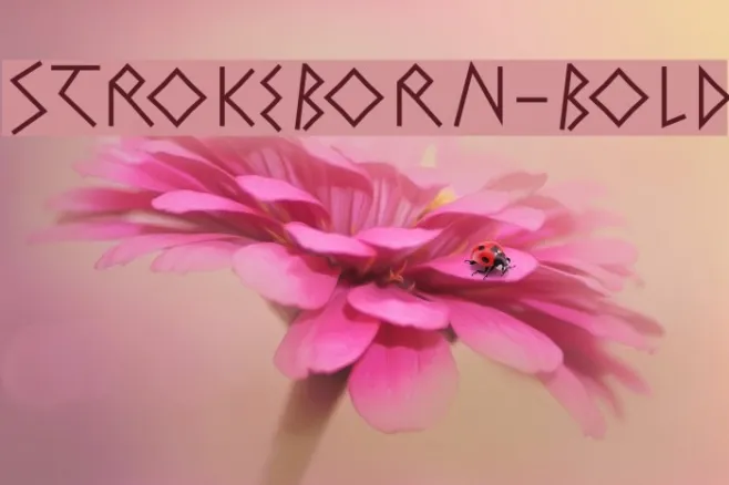 StrokeBorn-Bold Example 3