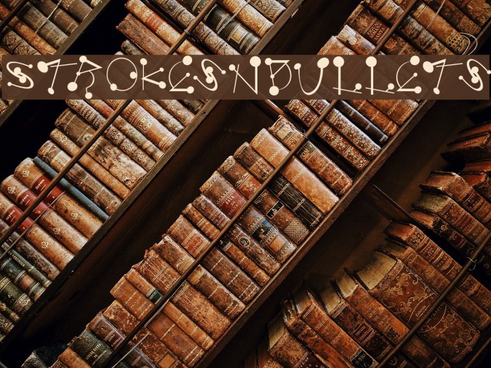 StrokesNBullets Example 1