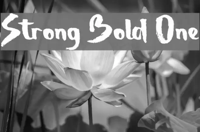 Strong Bold One Font examples