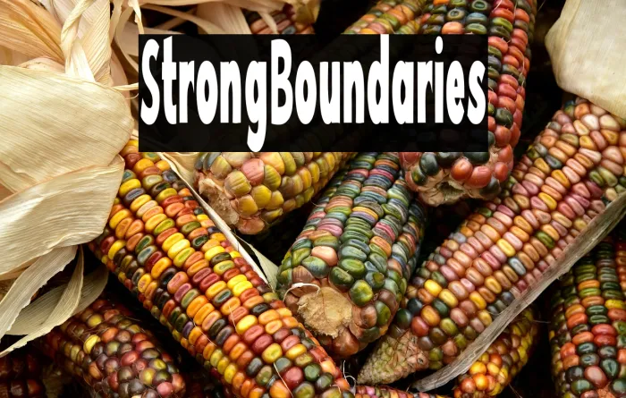 Strong Boundaries Example 1