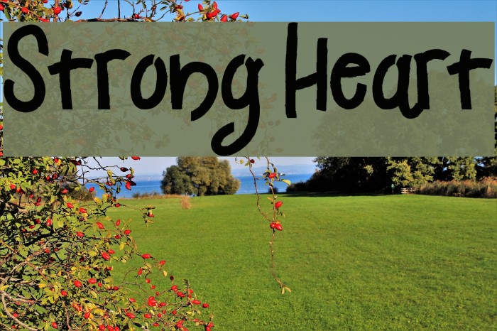 Strong Heart Font examples