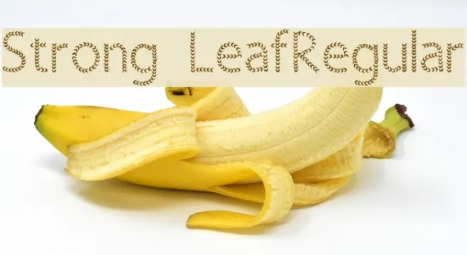 Strong LeafRegular Example 1