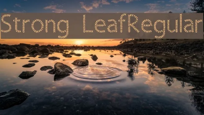 Strong LeafRegular Example 3