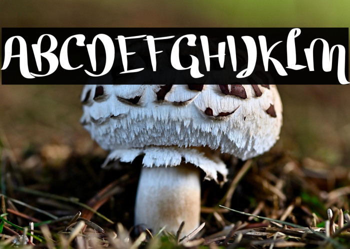 Strong Mother Example 1