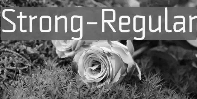 Strong-Regular Font examples