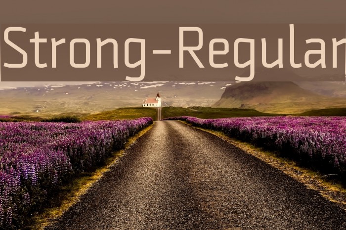 Strong-Regular Font examples