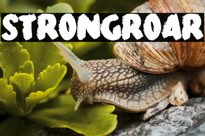 Strong Roar Example 1