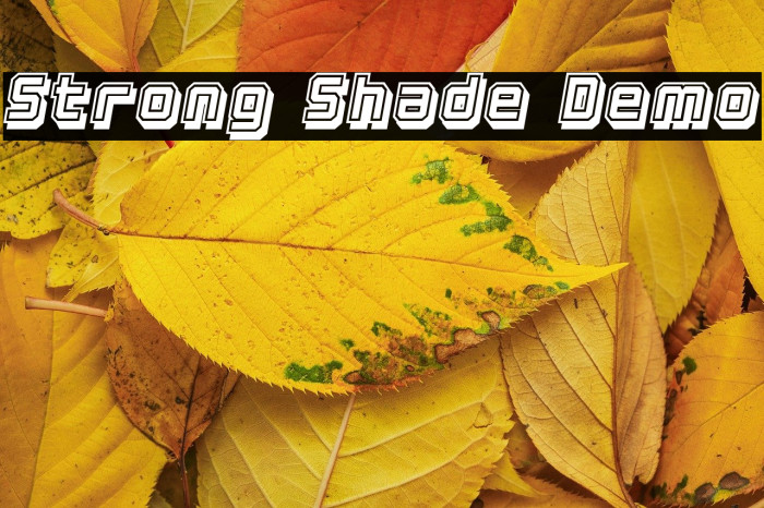 Strong Shade Demo Example 2