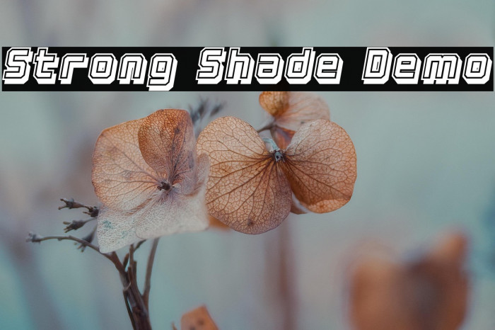 Strong Shade Demo Example 3