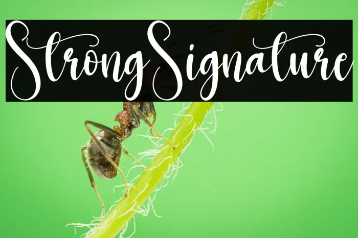 Strong Signature Example 1