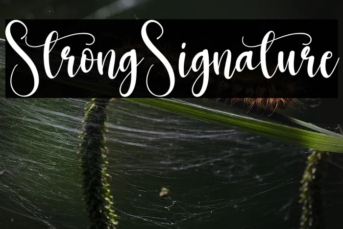 Strong Signature Example 2