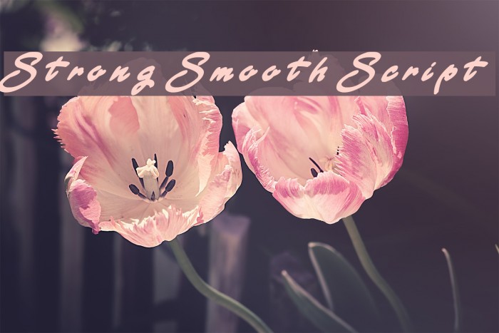 Strong Smooth Script Font examples