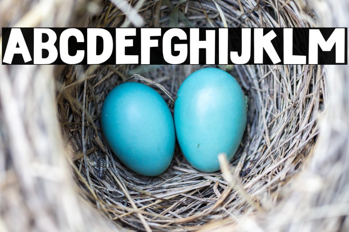 Strong Stitch Regular Example 2