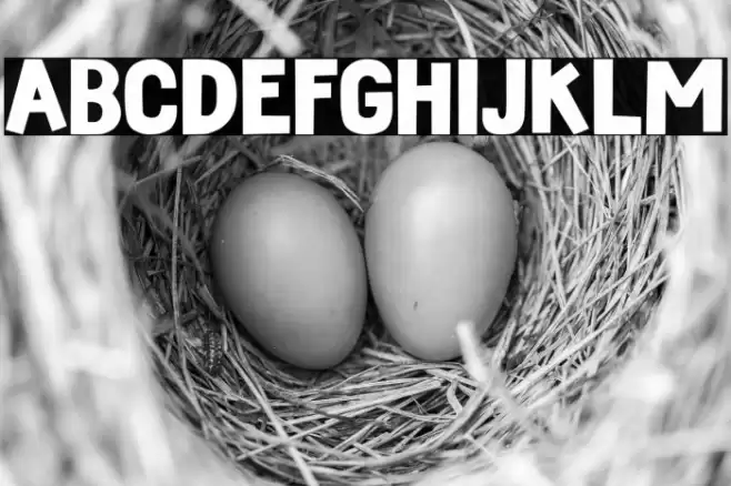 Strong Stitch Regular Шрифта examples