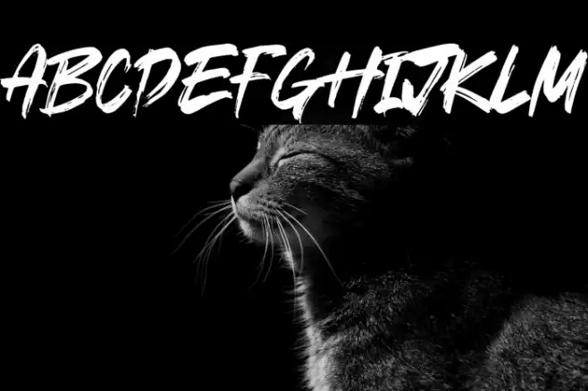 Strong Young Font examples