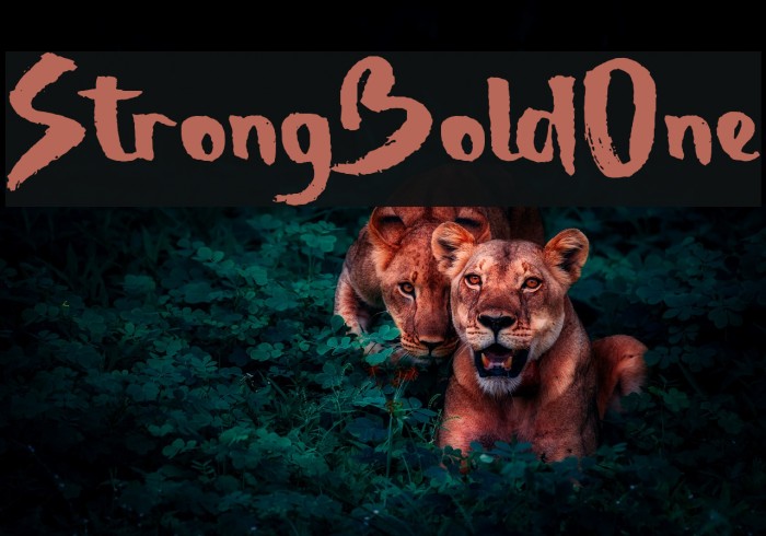 StrongBoldOne Example 3