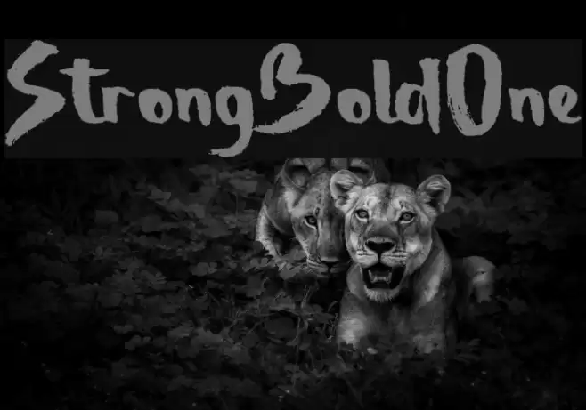 StrongBoldOne Font examples