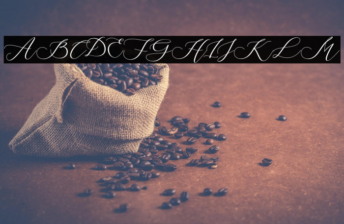 StrongFarmhouse Example 3