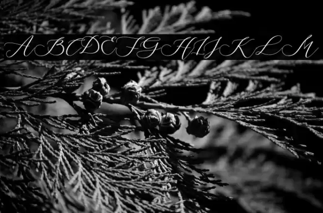 StrongFarmhouse Font examples