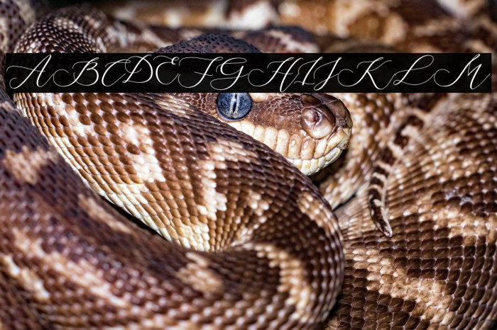 StrongFarmhouse Example 3