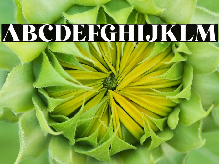 StrongGirlsDEMO Example 1