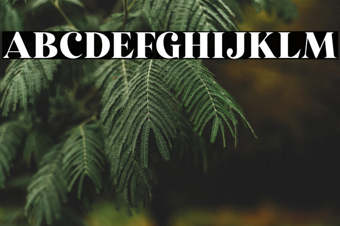 StrongGirlsDEMO Example 2