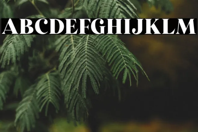 StrongGirlsDEMO Example 2
