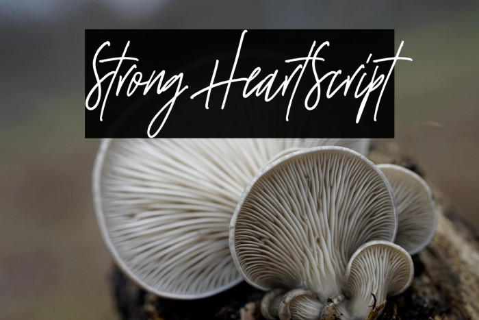 StrongHeartScript Example 1