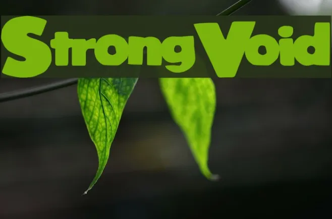 StrongVoid Example 3
