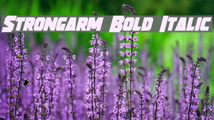 Strongarm Bold Italic Font examples
