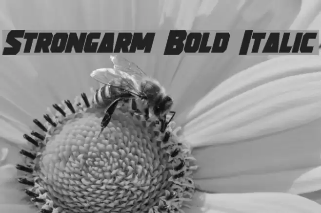 Strongarm Bold Italic Font examples