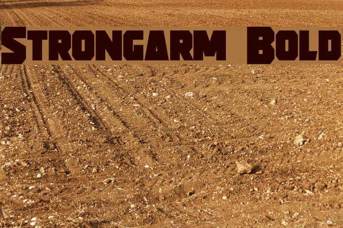 Strongarm Bold Font examples