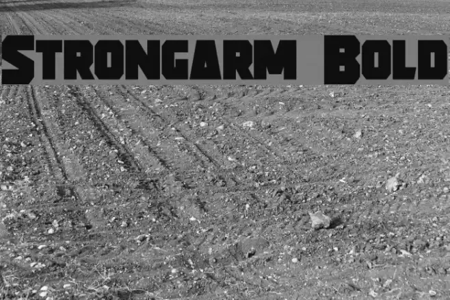 Strongarm Bold Font examples