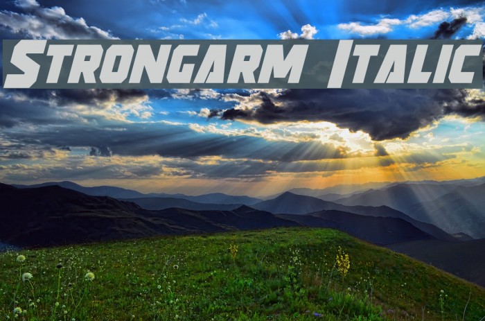 Strongarm Italic Fonte examples
