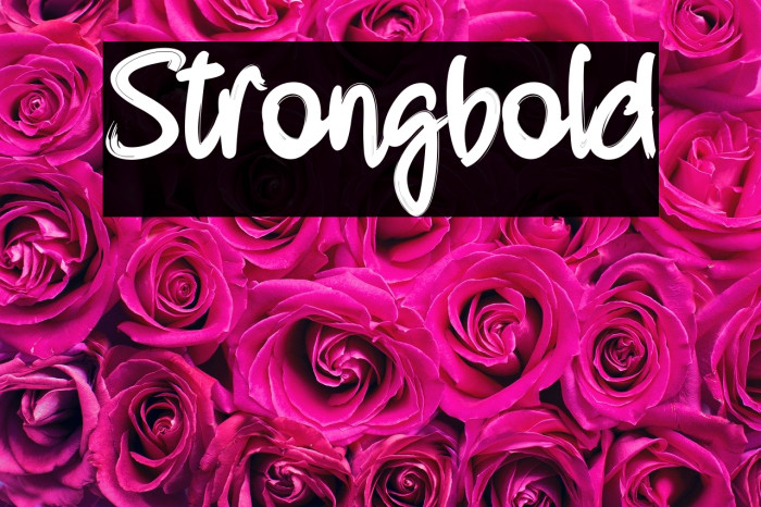 Strongbold Font examples